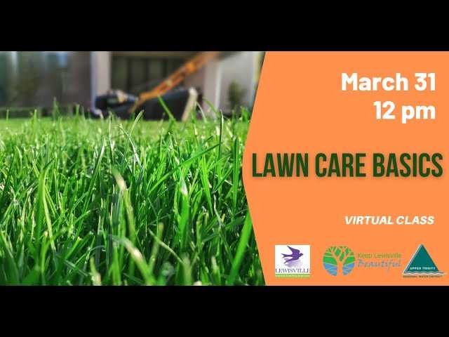Lawn Care Basics