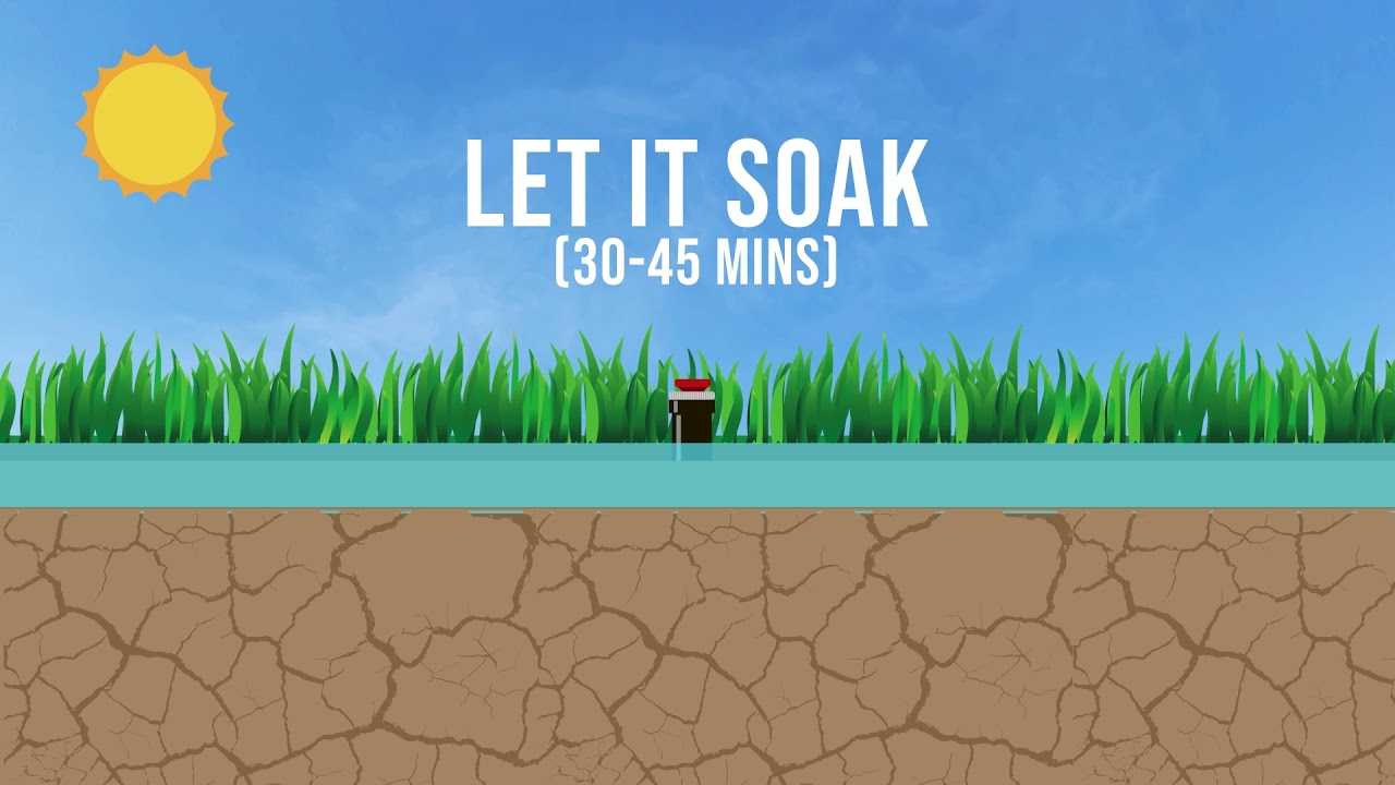 Cycle and Soak to Save Water on Your Lawn